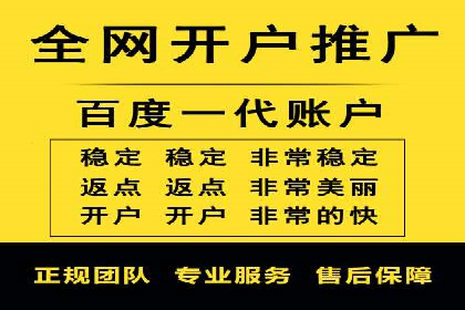 竞价排名案例分析：电商行业